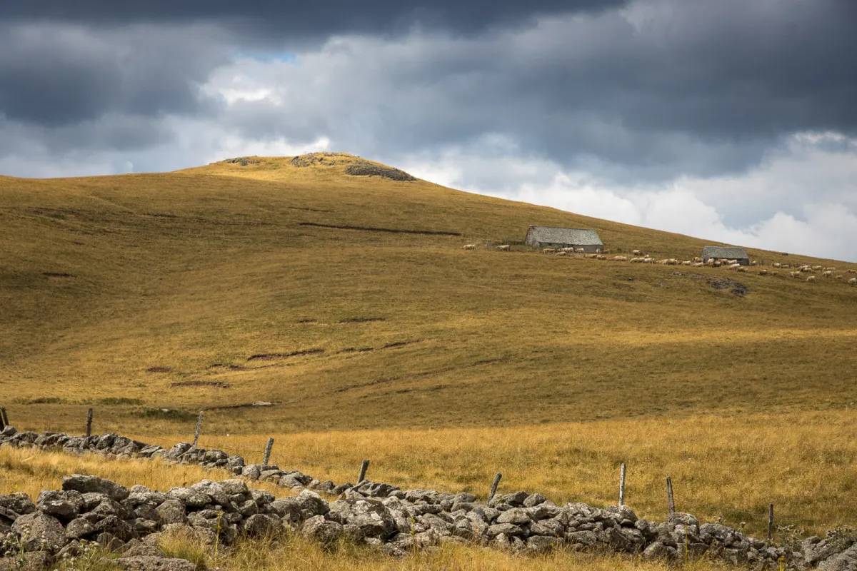 Puy de Gudette en juillet 2025