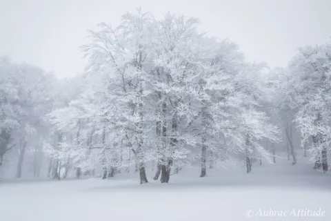 Balade dans la neige sur Aubrac