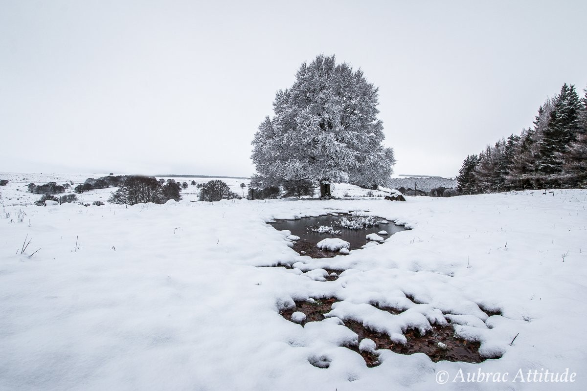 Bienvenue sur Aubrac Attitude