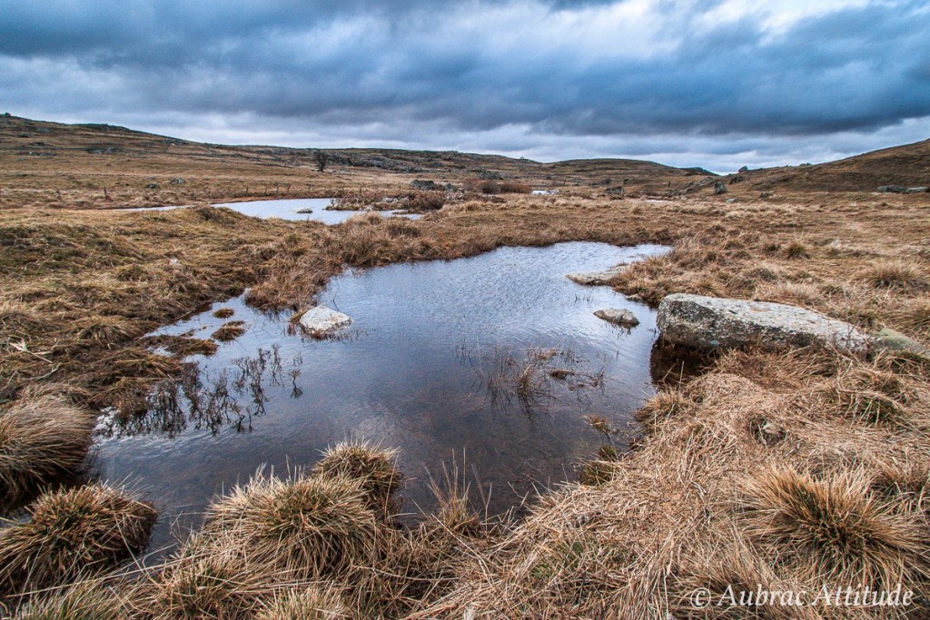 Superbe paysage d'Aubrac